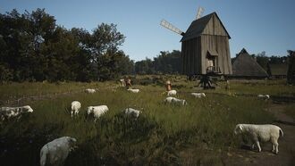 Гжегож Стычень защищает художника, работавшего над "Помещичьими господами"