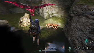 Где лучшее место для поиска грибов в человеческом мире?