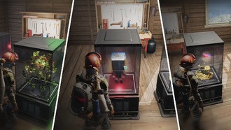 Как использовать девиант-гриб в человеке