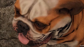 Fallout London: все спутники (и как их нанять)