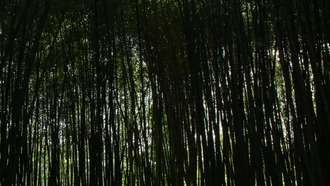 Китайская хакерская группа StormBamboo взломала интернет-провайдера