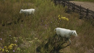 Новая функция для лордов поместий