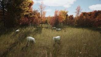 Овцы в Manor Lords: новый бренд от создателей God of War