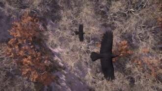 Соавтор Assassin's Creed написал «Сказки из Мабиногиона»