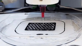 Новые экологичные чернила для 3D-принтеров