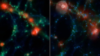 Астрономы: галактики в плотных средах на 25% больше
