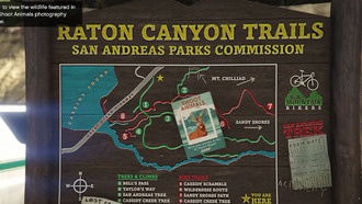 GTA Online: Места обитания мопсов