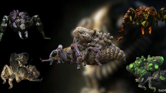 Где найти медоносных зверей в Fallout 76