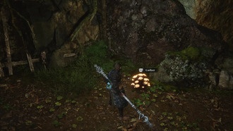 Black Myth: Wukong - Где достать грибы змееголовые