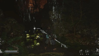 Где получить нефритовый лотос в Black Myth: Wukong