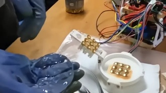 Простой гидрогелевый «мозг» продемонстрировал игру в Pong — со временем он научился и стал лучше