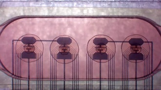 Органоидные биопроцессоры человеческого мозга теперь доступны в аренду за 500 долларов в месяц