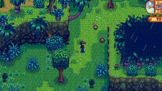 Расположение клубней таро в долине Стардью