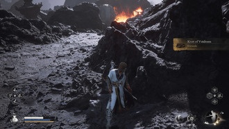 Как получить Узел Пустоты в Black Myth Wukong