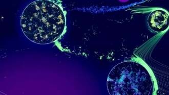 Симулятор искусственной жизни восхитил разработчиков