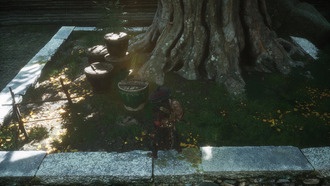 Black Myth: Wukong - все места обитания пробужденного винного червя