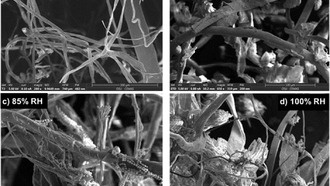 Предотвращение появления плесени на будущих космических станциях
