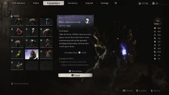 Что делать с прото-амурным червем в «Черном мифе»: Укун