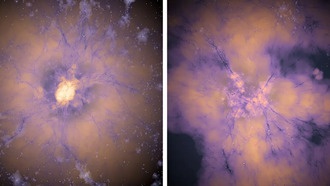 Ранняя темная энергия может разрешить две самые большие загадки космологии