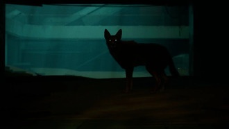 Игроки обратились к Annapurna с просьбой о спасении Blade Runner 2033: Labyrinth