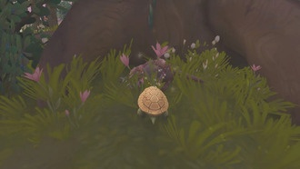 Как получить питомца — черепаху из Даларана в World Of Warcraft: The War Within