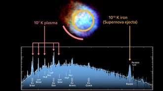 Миссия рентгеновской визуализации и спектроскопии раскрывает окрестности черной дыры и остатков сверхновой