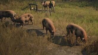 Свиньи в Manor Lords наконец-то зашумели по-домашнему. Гжегож Стычень и компания испытывают трудности с диагностикой проблем с EU5