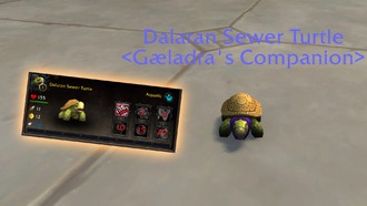 WoW: Война Внутри Как Получить Питомца Черепахи Из Канализаций Даларана