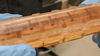 Космические полёты нарушают ритм клеток сердечной мышцы из-за низкой гравитации