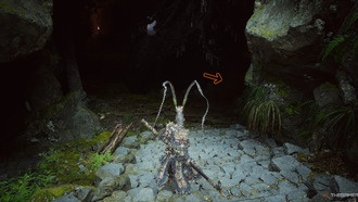 Где найти каждую Небесную Пилюлю Тайи в Черном Мифе: Укун