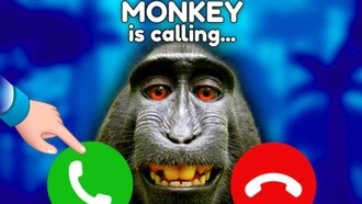 Roblox: Коды Monkey Tycoon