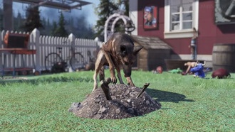Bethesda наконец-то добавит питомцев в Fallout 76