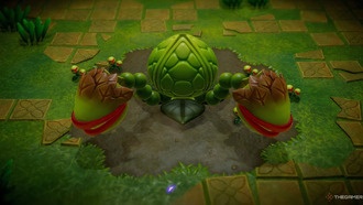 Как пройти подземелье Faron Wetlands в Legend Of Zelda: Echoes Of Wisdom