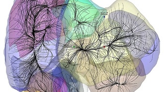 Данные о гравитационных бассейнах помогают понять движение галактик