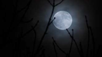 НАСА сообщает, что в эти выходные Земля захватит «вторую луну»