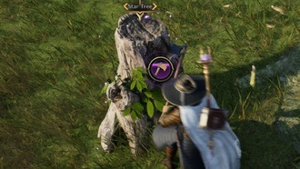 Throne and Liberty: руководство по сбору