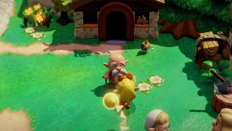 Вопрос о прохождении Local Cats в Zelda Echoes of Wisdom