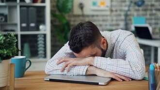 WordPad исчезает из Windows 11. Microsoft рекомендует использовать Word и Блокнот