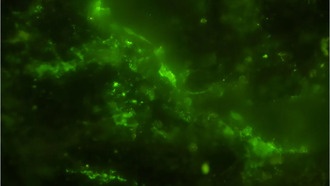 Камень возрастом 2 млрд лет поможет понять историю ранней жизни на Земле и найти её следы на Марсе