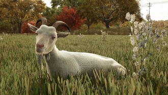 Создавая коз, разработчики Farming Simulator 25 создали существ из легенд