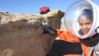 Аналоговые станции на Марсе исследуют биоразнообразие лишайников в ходе имитационных миссий