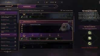 Throne and liberty: Маленький друг в небе