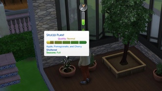 Как получить гранатовое дерево в The Sims 4