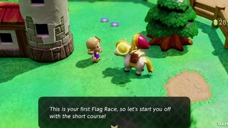 Как выиграть все гонки за флагом в Echoes of Wisdom