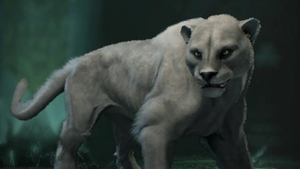 Все новые ездовые животные в Diablo 4: Vessel of Hatred (и как их получить)