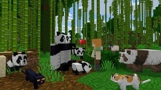 Minecraft наконец-то с родным разрешением 4K на PS5. Mojang также отказывается от VR на ПК