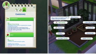 Как получить орхидею в The Sims 4