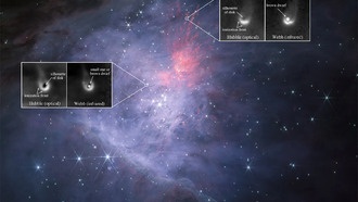 Телескопы НАСА обнаружили протопланетные диски коричневых карликов в туманности Ориона
