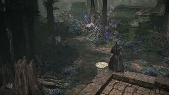 Выход Path of Exile 2 отложен на три недели