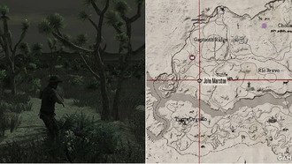 Где найти пустынный мудрец в Red Dead Redemption